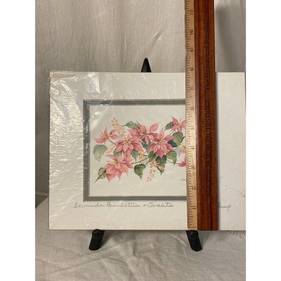 Signed Watercolor Print “Bermuda Poinsettia and Coralita” by Carole Holding - Picture 10 of 12